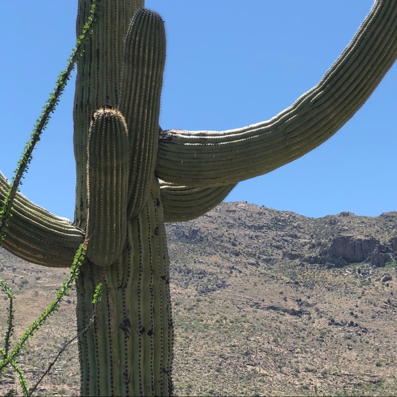 Meet your Posher, Britney - Picture 1 of 1